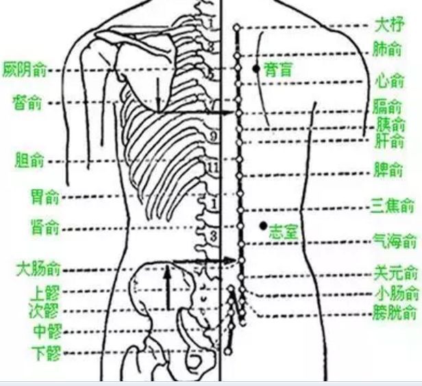 点揉中脘穴:用拇指点揉中脘穴1分钟左右.