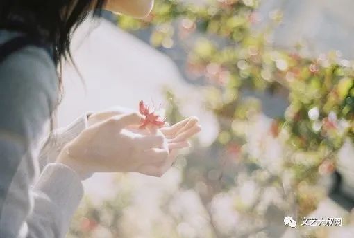 情感文学:生活,就是一种体谅和理解