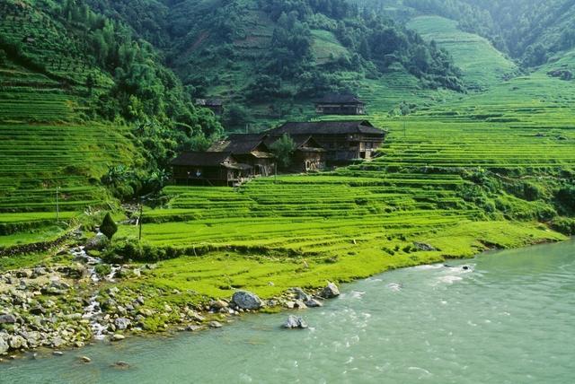 广西的十万大山景区,真的有十万座大山吗?