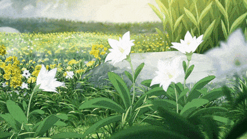 壁纸 花 桌面 500_281 gif 动态图 动图