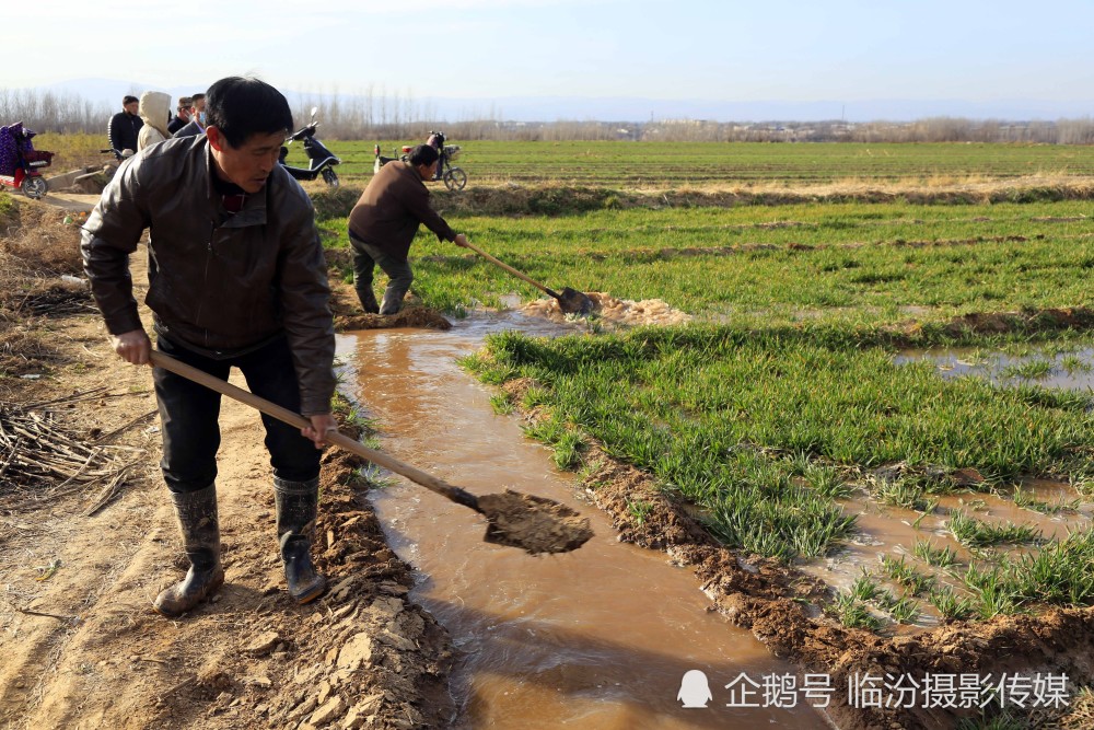 山西农村65岁的老汉浇地 他说出的一个道理 让人一听就明白了