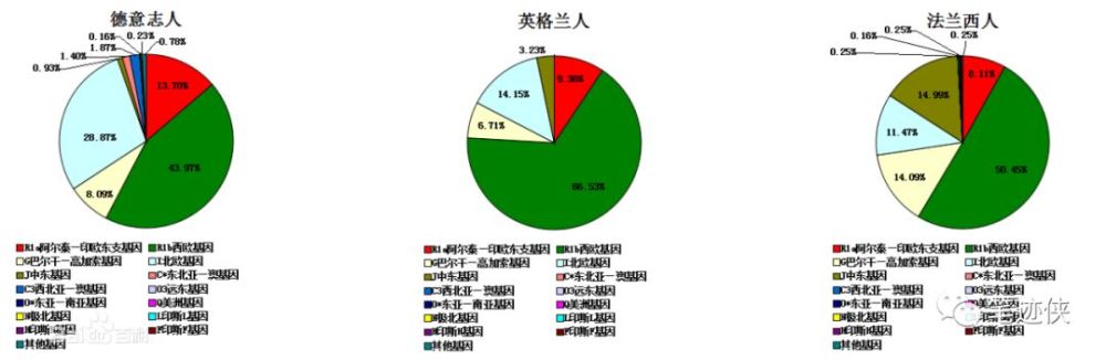 和辰观点:世界人种基因图谱