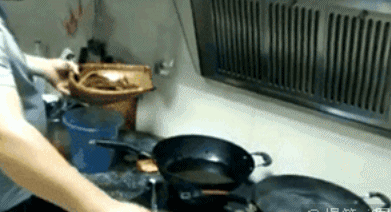 你觉得你做饭时候的样子再怎么生活不能自理的懒癌患者,为了填饱肚子