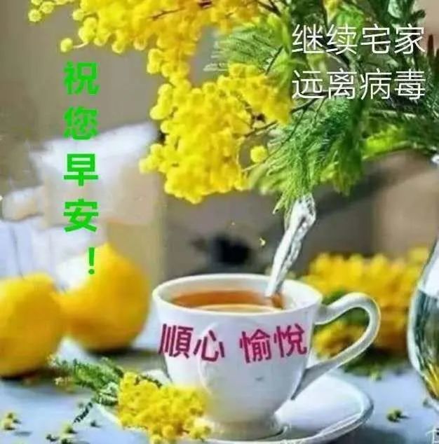 简短暖心的早安问候语,干净贴心,给人一天好心情!