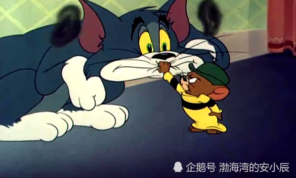 猫和老鼠解读:为什么杰瑞的表哥那么强,汤姆的亲戚却弱不禁风?