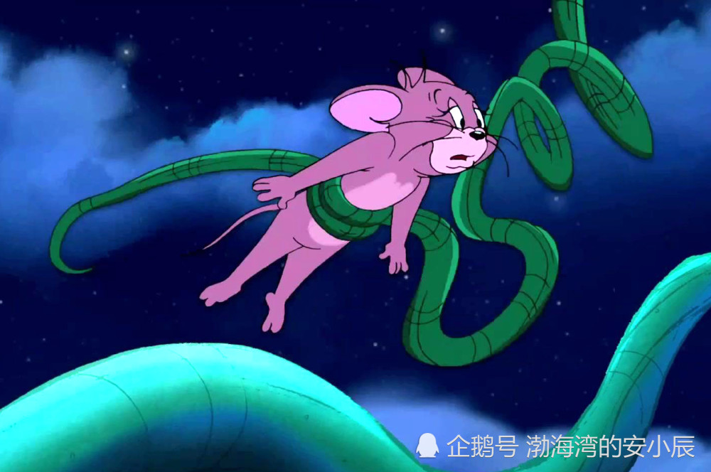 猫和老鼠解读:为什么杰瑞的表哥那么强,汤姆的亲戚却弱不禁风?