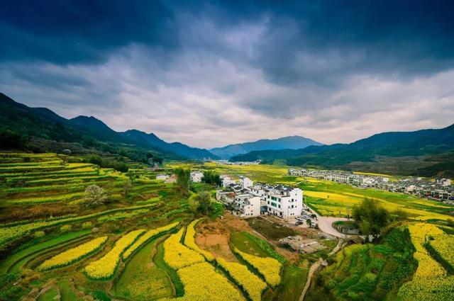 婺源,油菜花,古村,思溪延村,篁岭,梯田