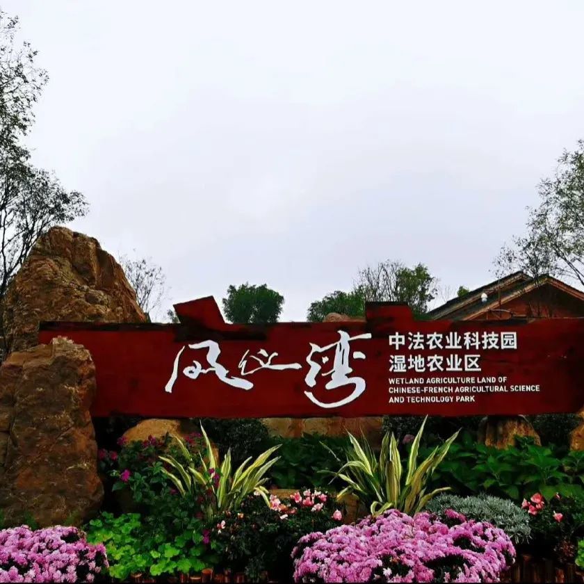 凤仪湾,农业科技园,嘉陵江,湿地