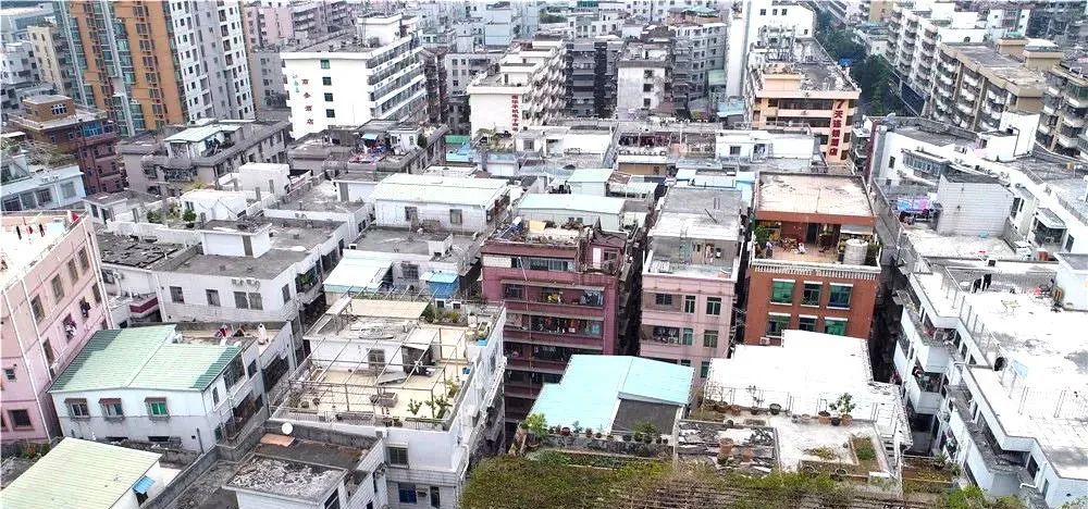 福田区,南园街道,城中村,新村,史志办,沙埔,黄薇,头村,市委,滨河