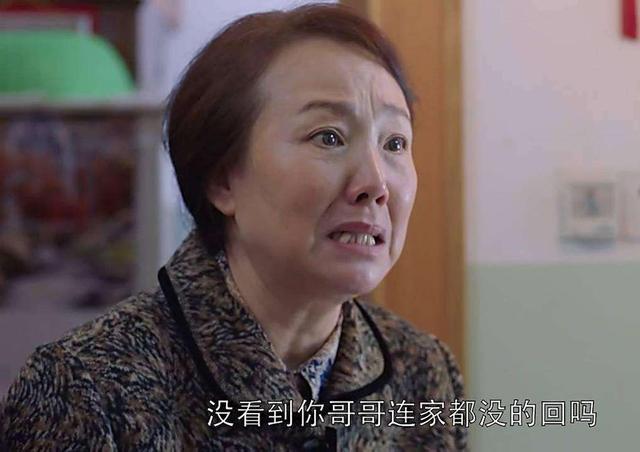 安家:同样是扶弟魔,我心疼樊胜美,而房似锦却"活该"