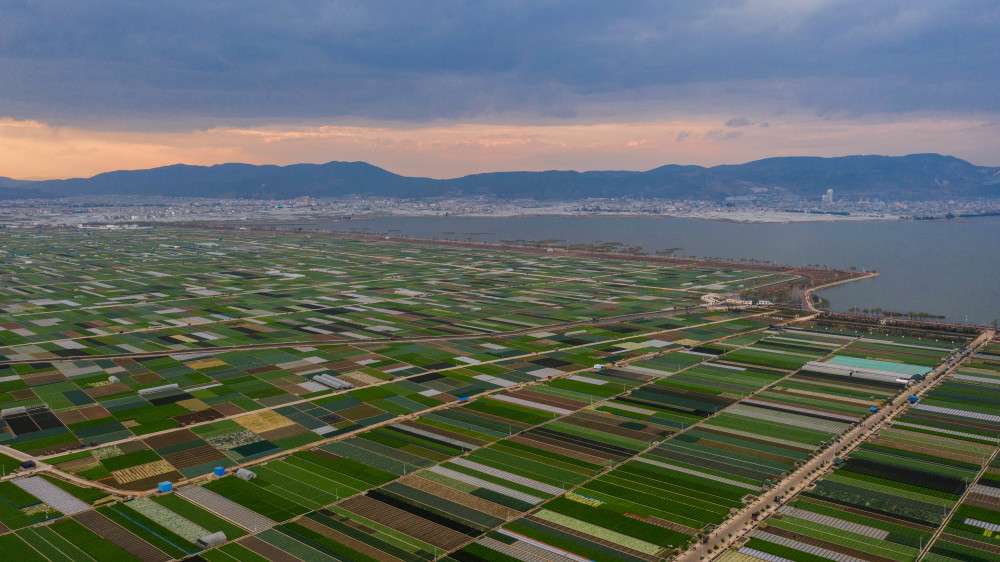 这是云南省玉溪市通海县的田园风光(3月4日摄,无人机照片).