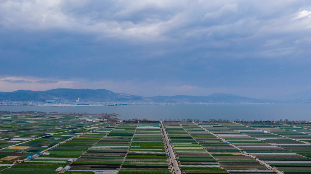 这是云南省玉溪市通海县的田园风光(3月4日摄,无人机照片).