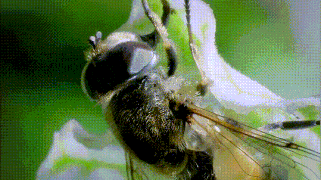 b站挖到的宝藏片,揭开这些