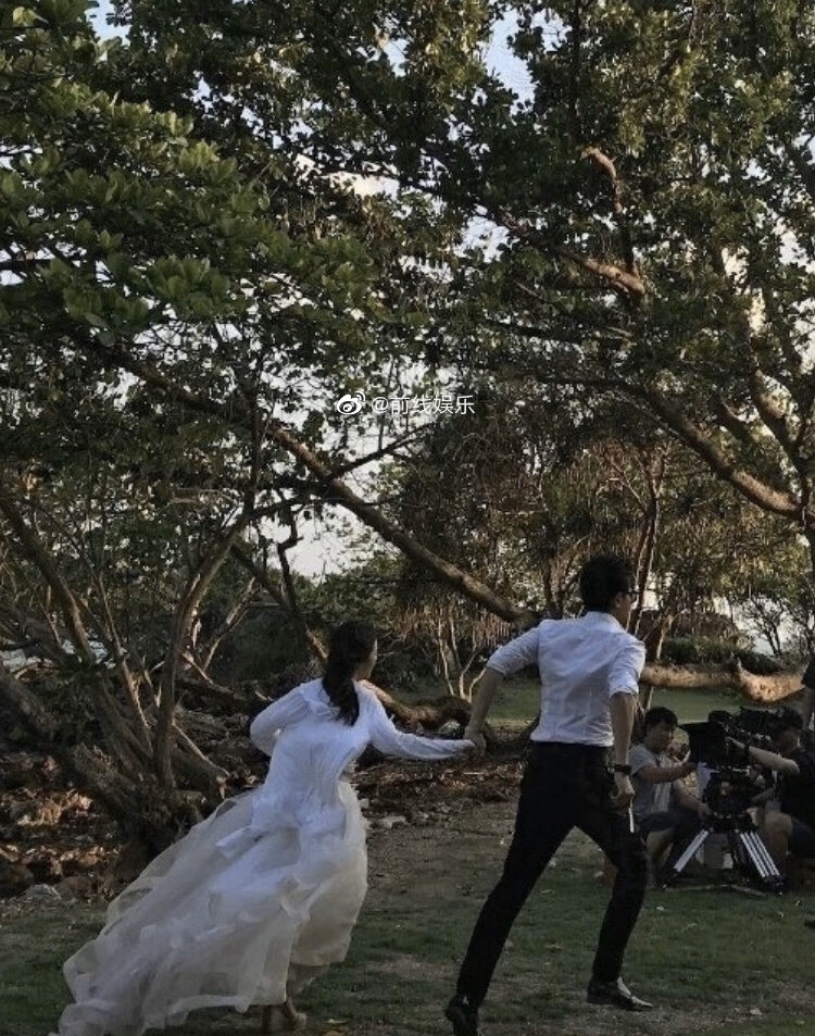 掌中之物,沈知节,傅慎行,何妍,蔡文静,彭冠英