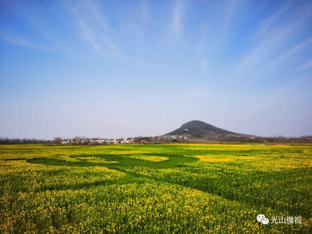 光山县,油菜花,油菜花海,仙居乡