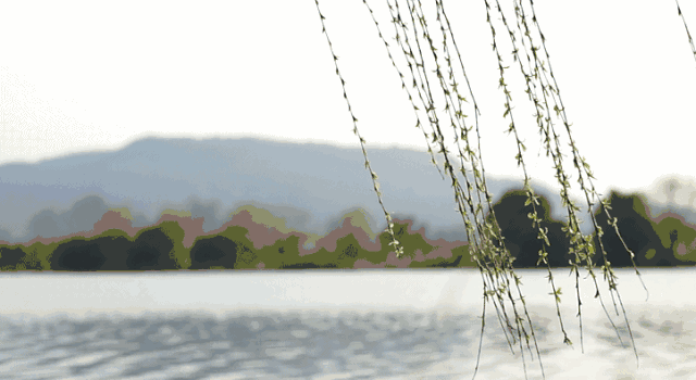 好天气要按暂停键啦