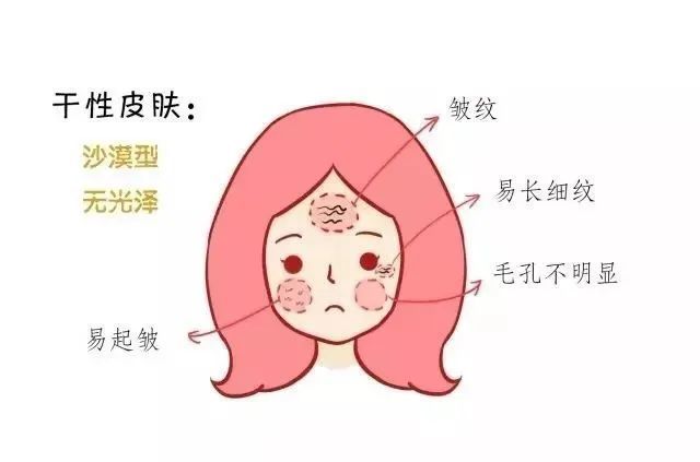 肤质,干性皮肤,敏感肌肤,护肤,肌肤,中性皮肤