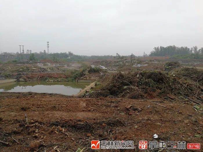 玉林,新城,征地拆迁,新圩镇,刘庆雨,北流市
