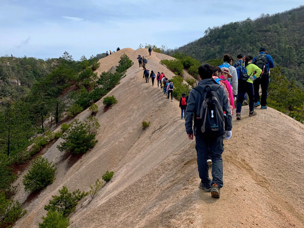 旅游,旅行,龙须山,登山,景点