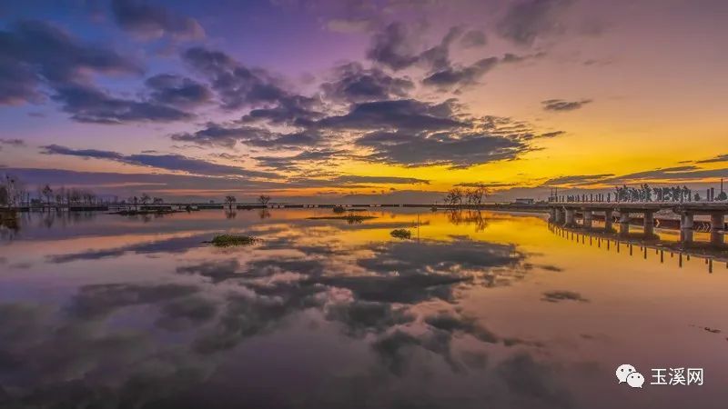 杞麓湖,红嘴鸥,通海,岳琦,左平,卢贵谦