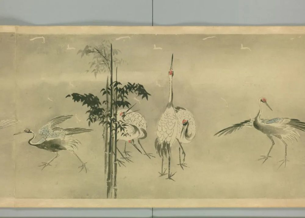 《鹤之绘卷》鹤的各种姿势长卷-日本画家住吉広行