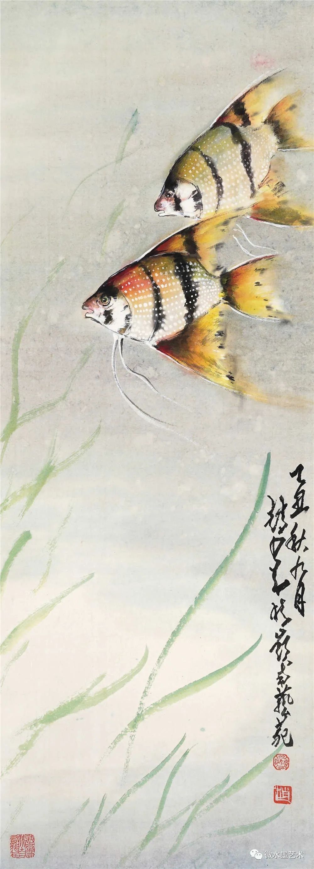 花鸟大师赵少昂,画鱼也精彩