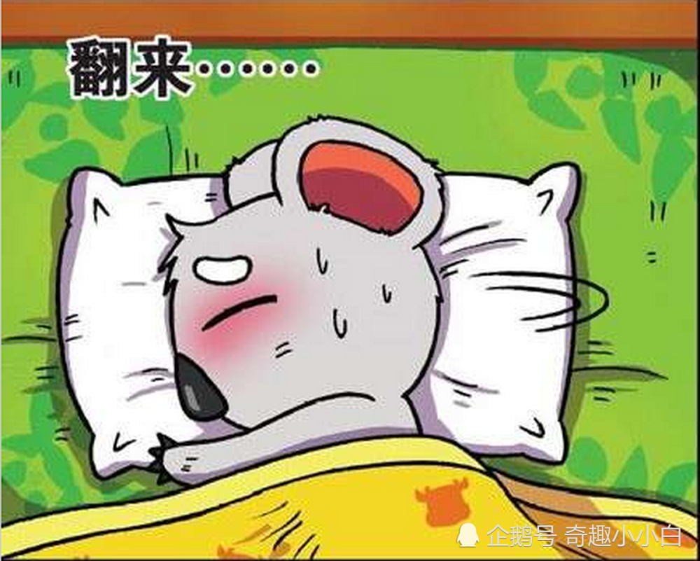 爆笑:树袋熊睡不着要抱着树,呆头睡不着却要抱着课桌