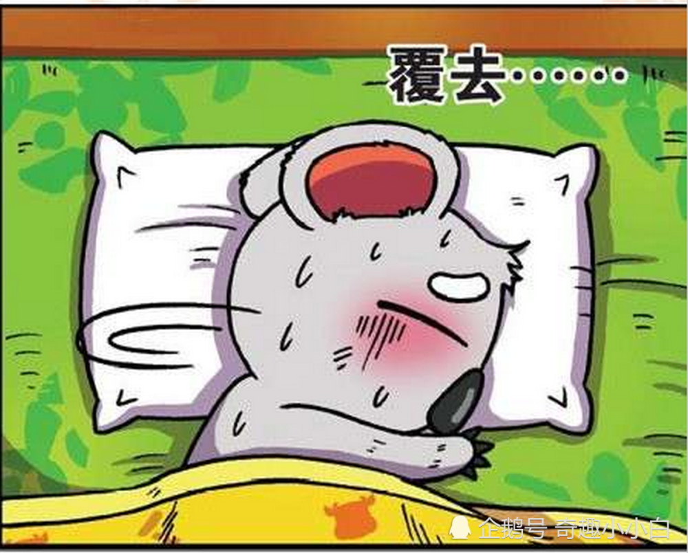 爆笑:树袋熊睡不着要抱着树,呆头睡不着却要抱着课桌