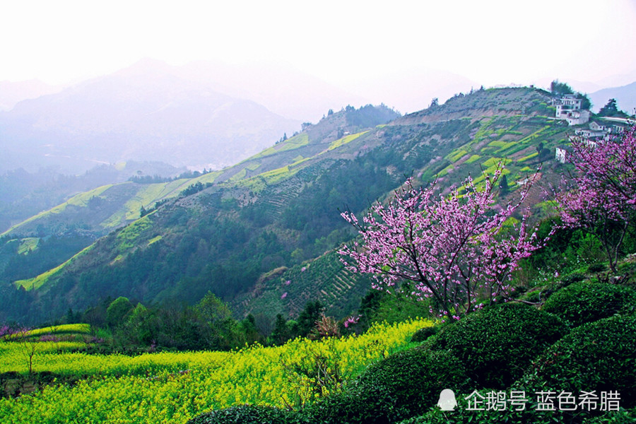 春天美景,摄影,美图,唯美,风景