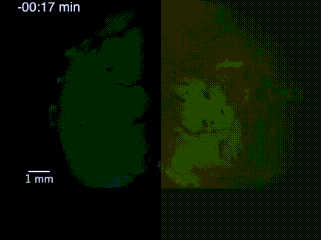 超过1000张照片,拼出史上最高清的火星全景图