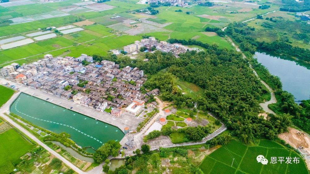 恩平市,森林乡村,乌石村,歇马村,石青村,沙湖镇