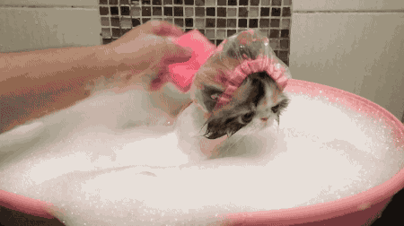 戚薇,综艺节目,南北方洗澡,搓澡,风俗习惯