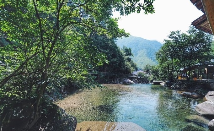 杭州周边最冷门景点,自然风光旖旎千年古树密集,好想现在就出发
