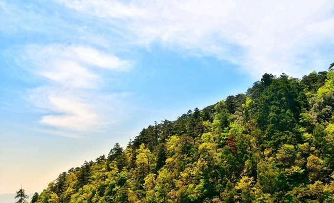 杭州,天目山,景点,禅源寺