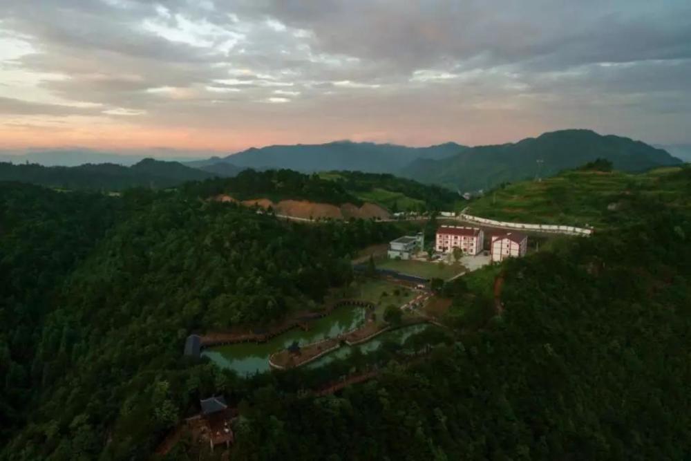 文成县云顶山庄森林康养基地