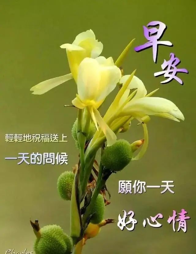 8发朋友圈早上好漂亮图片带字 非常暖心的早安祝福说说心情