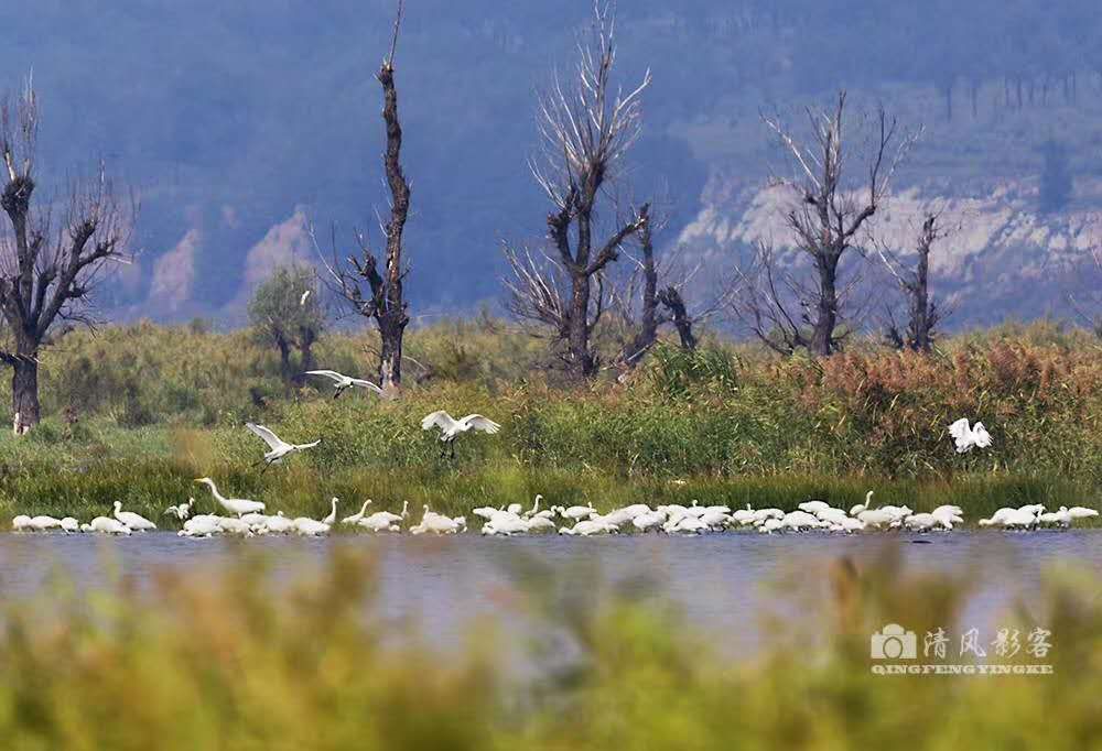 国家林业和草原局,湿地,云州区,广灵县,窑村