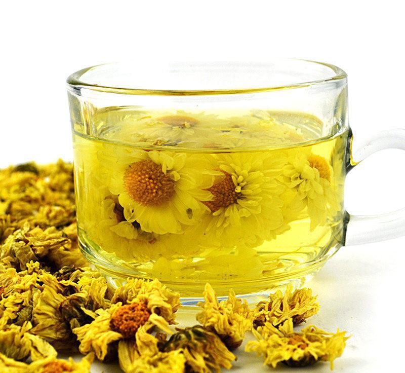 不要每天喝茶了,你每天喝的菊花茶真的对你的身体百利