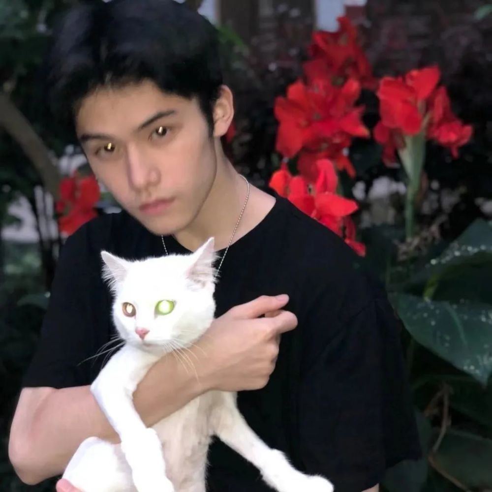 用了必脱单的男生头像
