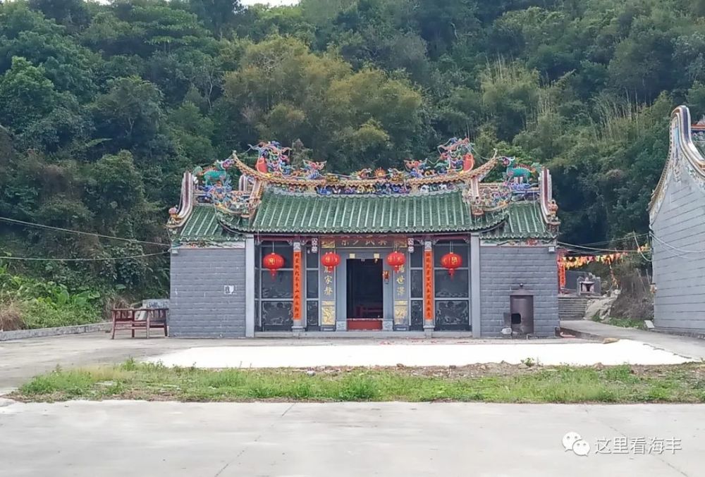 ding 进来了解一下海丰的乡族文化?