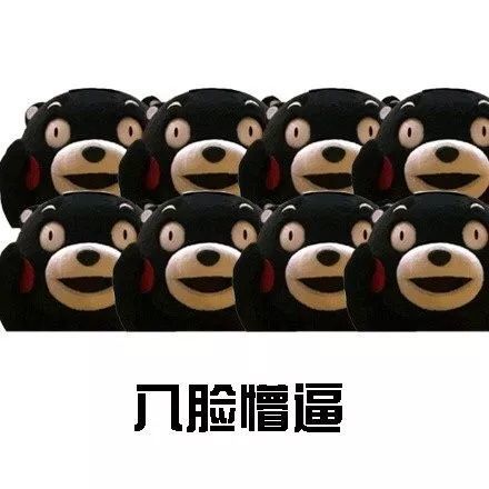搞笑熊本熊式懵逼表情包,五脸懵逼