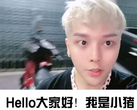 小猪先生,韩安冉,娱乐,网红