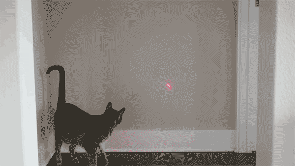 为什么激光笔的小红点可以让猫咪如此着迷?