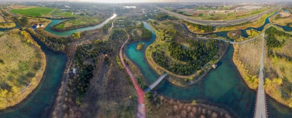 新龙生态林:绿化龙城,润养龙城,这就是常州的"万亩城市后花园"