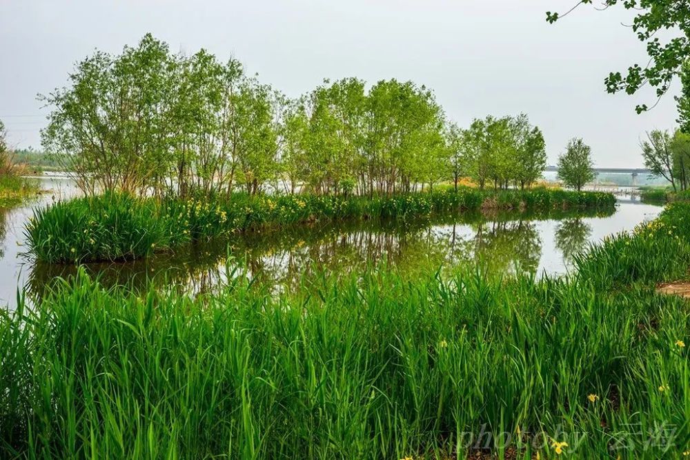 北辰绿洲湿地公园