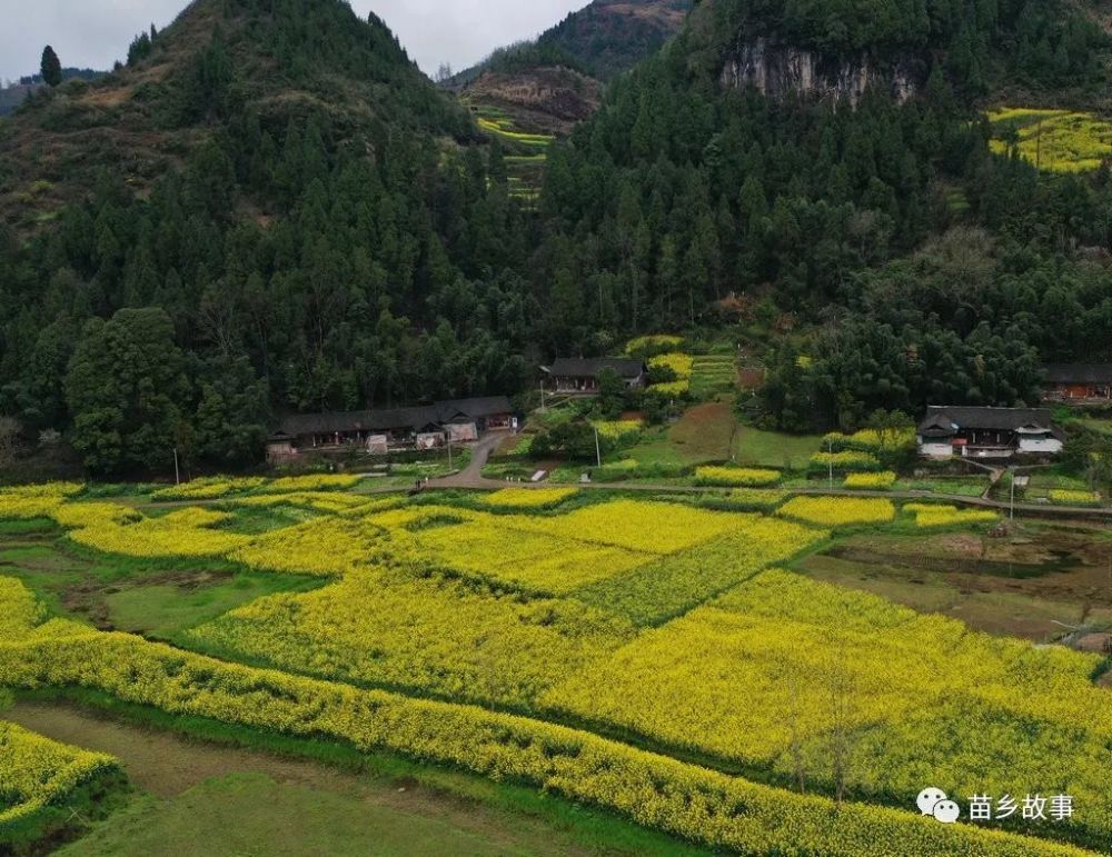 松桃苗族自治县,石花村,油菜花,贵州,花垣县,湖南