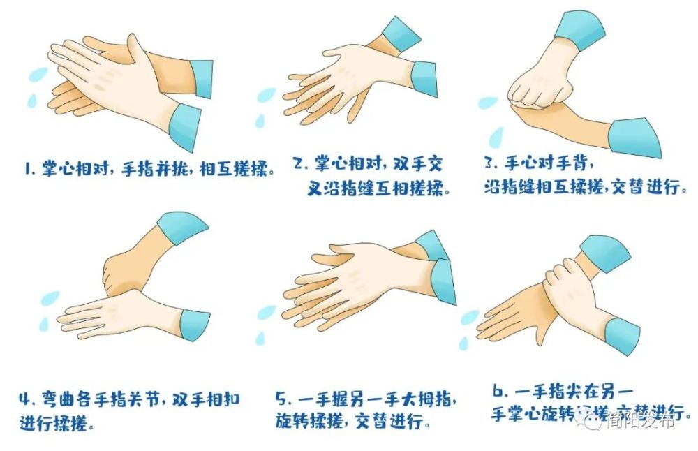 坚持在就餐前,按照"六步法"严格洗手.