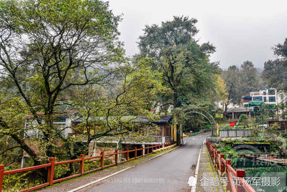 赣州于都县屏山牧场,山间树木葱翠原始森林风光很迷人