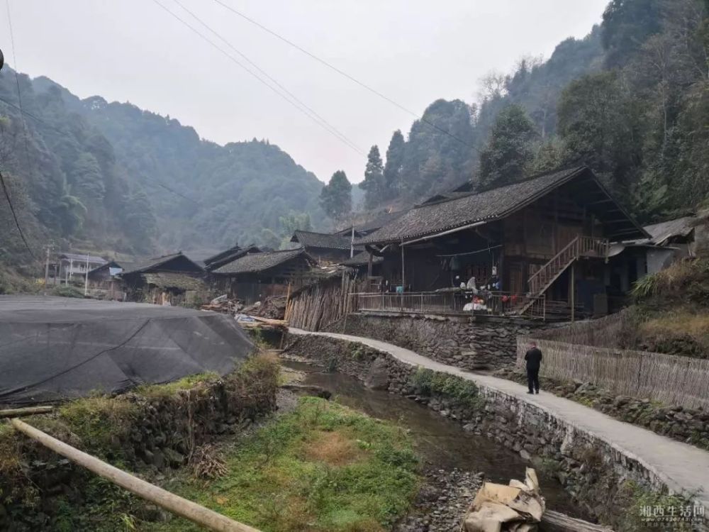 湘西无蚊村——保靖县葫芦镇木芽村(现今四十八湾村木芽寨),集山,水