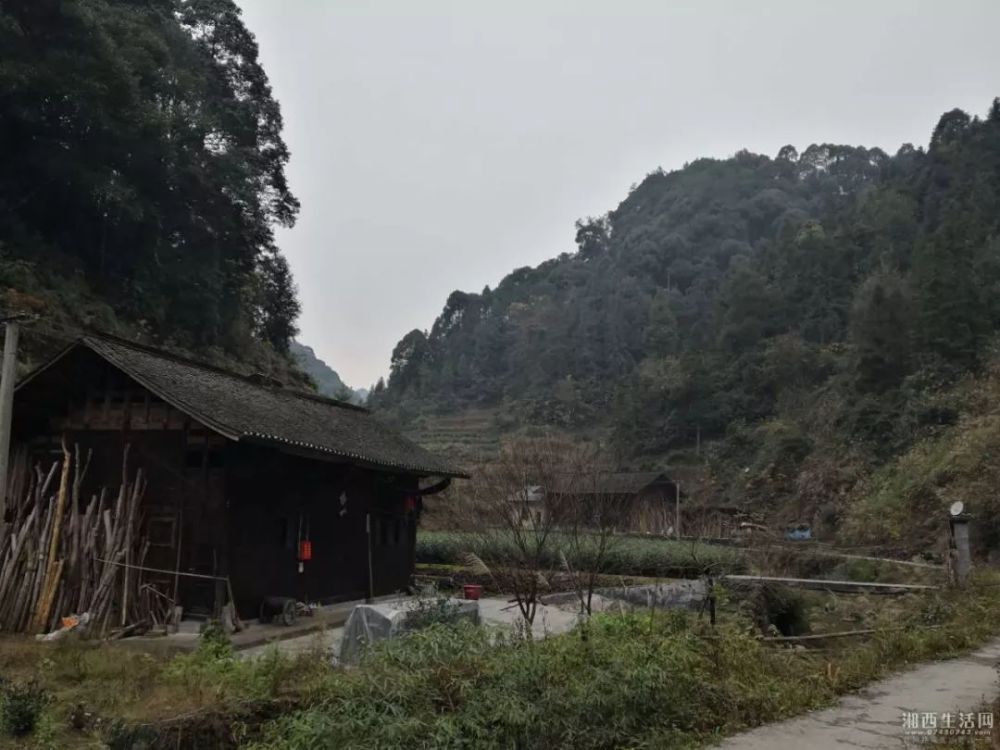 湘西无蚊村——保靖县葫芦镇木芽村(现今四十八湾村木芽寨),集山,水